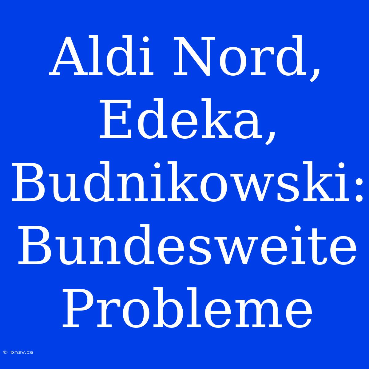 Aldi Nord, Edeka, Budnikowski: Bundesweite Probleme