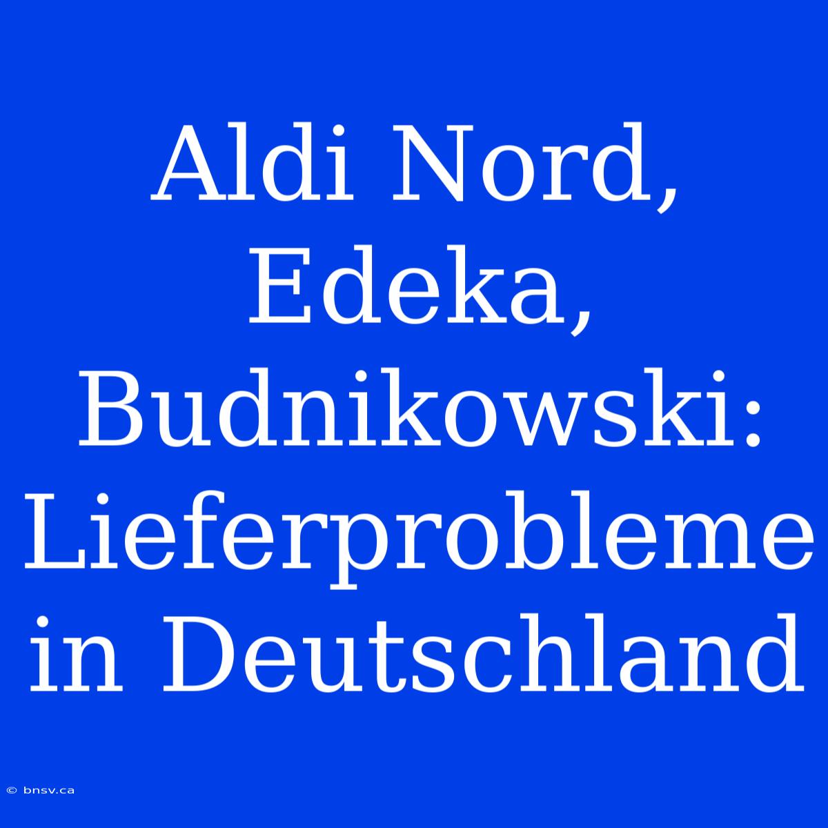 Aldi Nord, Edeka, Budnikowski: Lieferprobleme In Deutschland