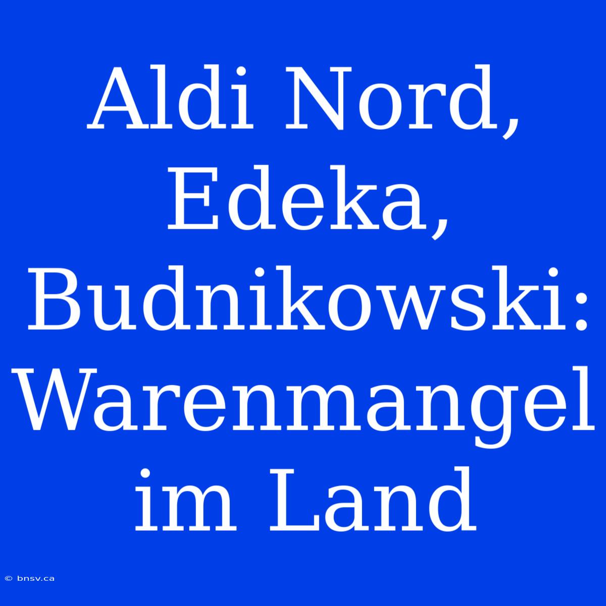 Aldi Nord, Edeka, Budnikowski: Warenmangel Im Land