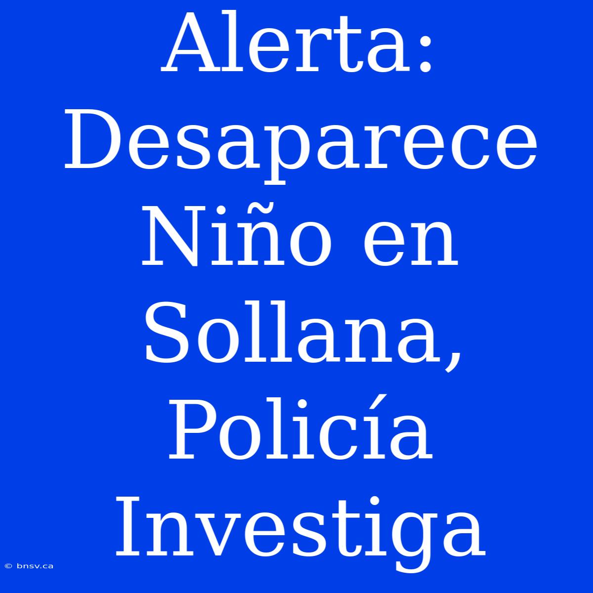 Alerta: Desaparece Niño En Sollana, Policía Investiga