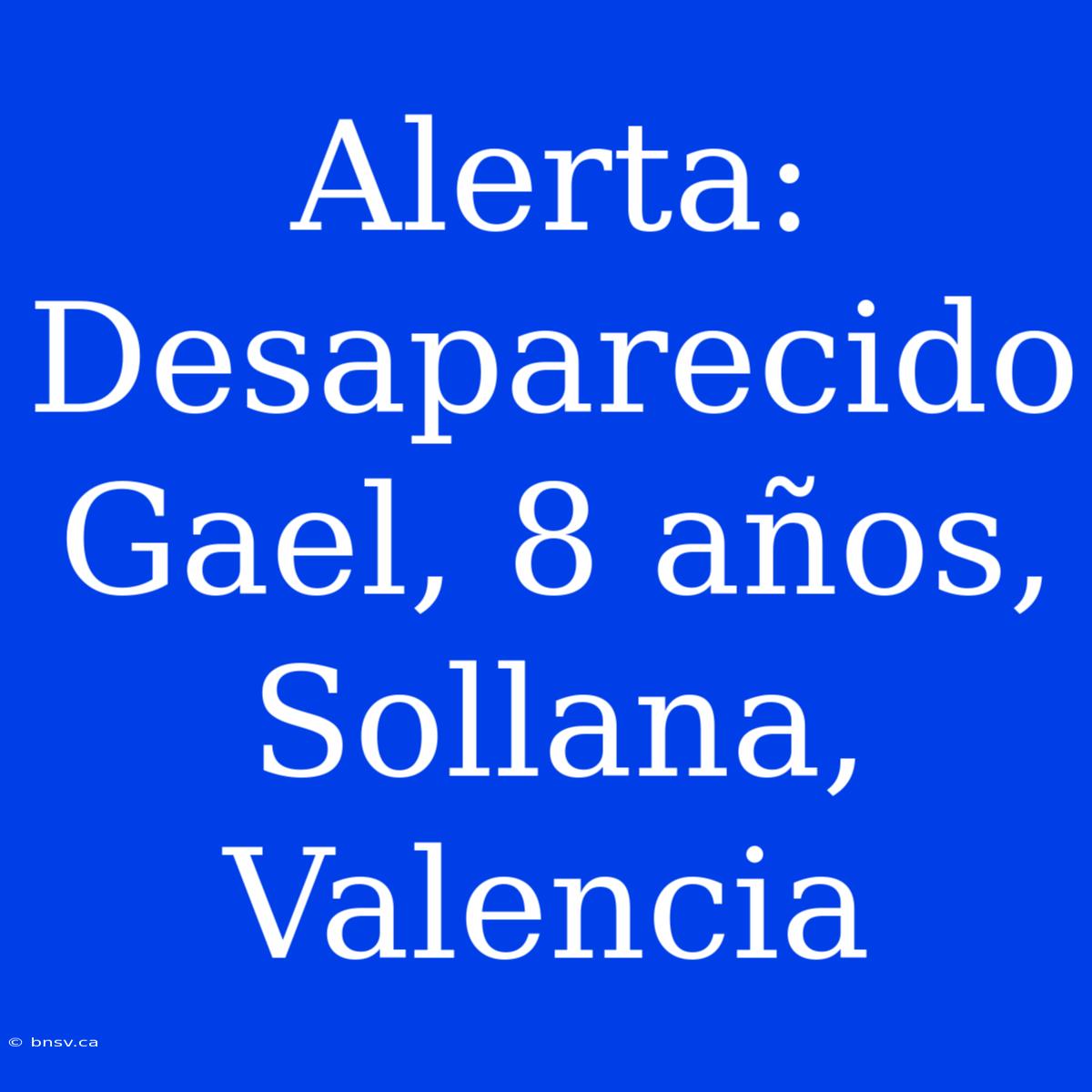 Alerta: Desaparecido Gael, 8 Años, Sollana, Valencia