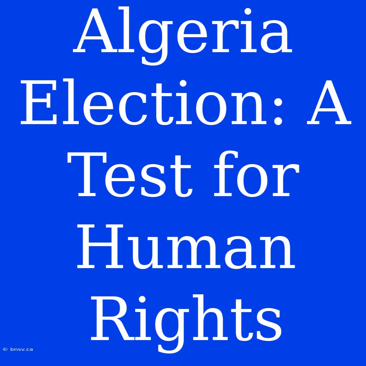 Algeria Election: A Test For Human Rights