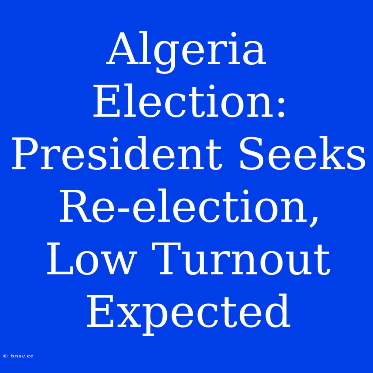 Algeria Election: President Seeks Re-election, Low Turnout Expected