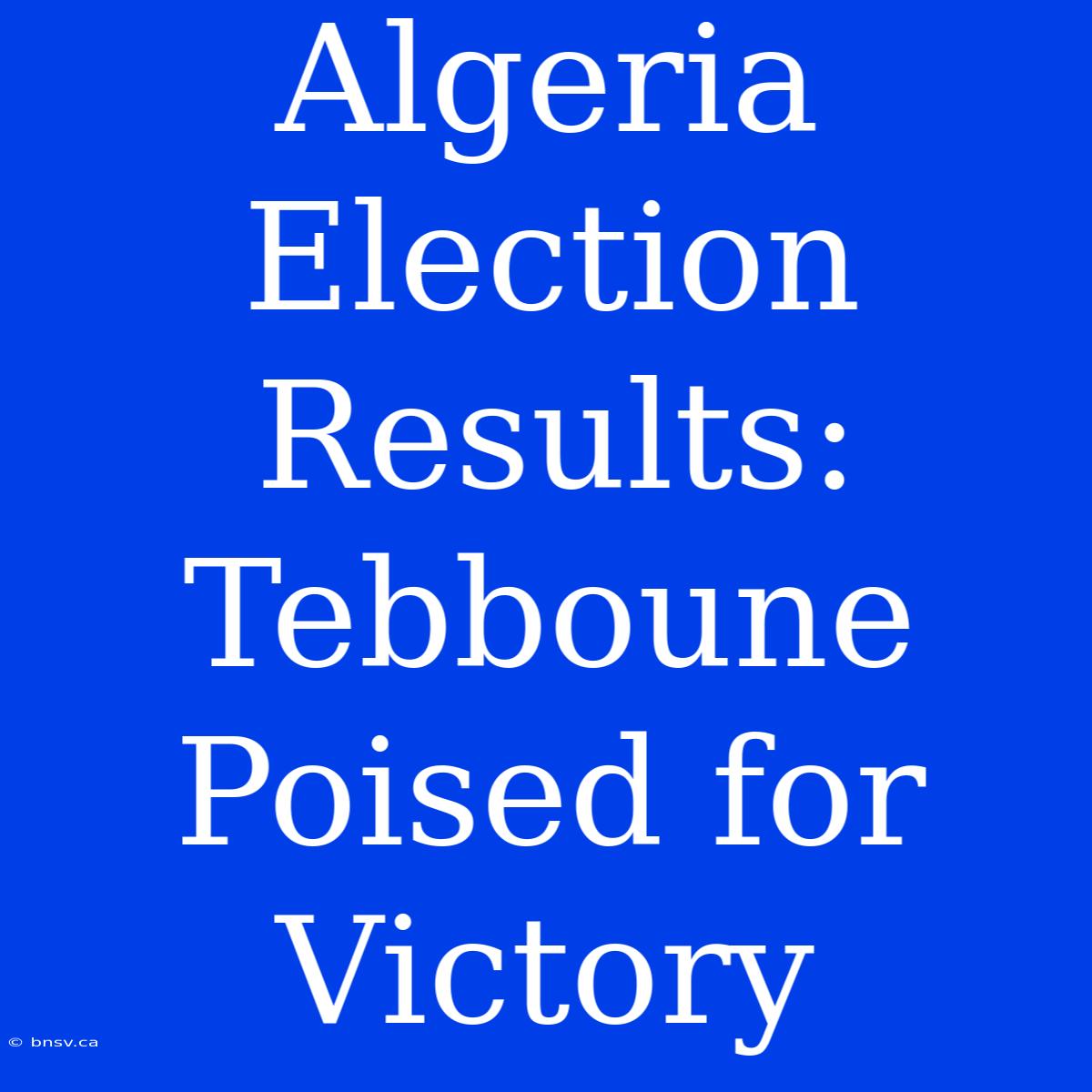 Algeria Election Results: Tebboune Poised For Victory