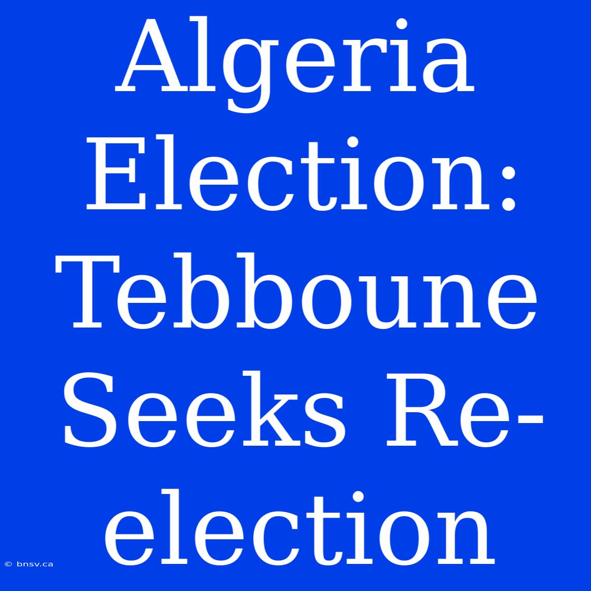 Algeria Election: Tebboune Seeks Re-election