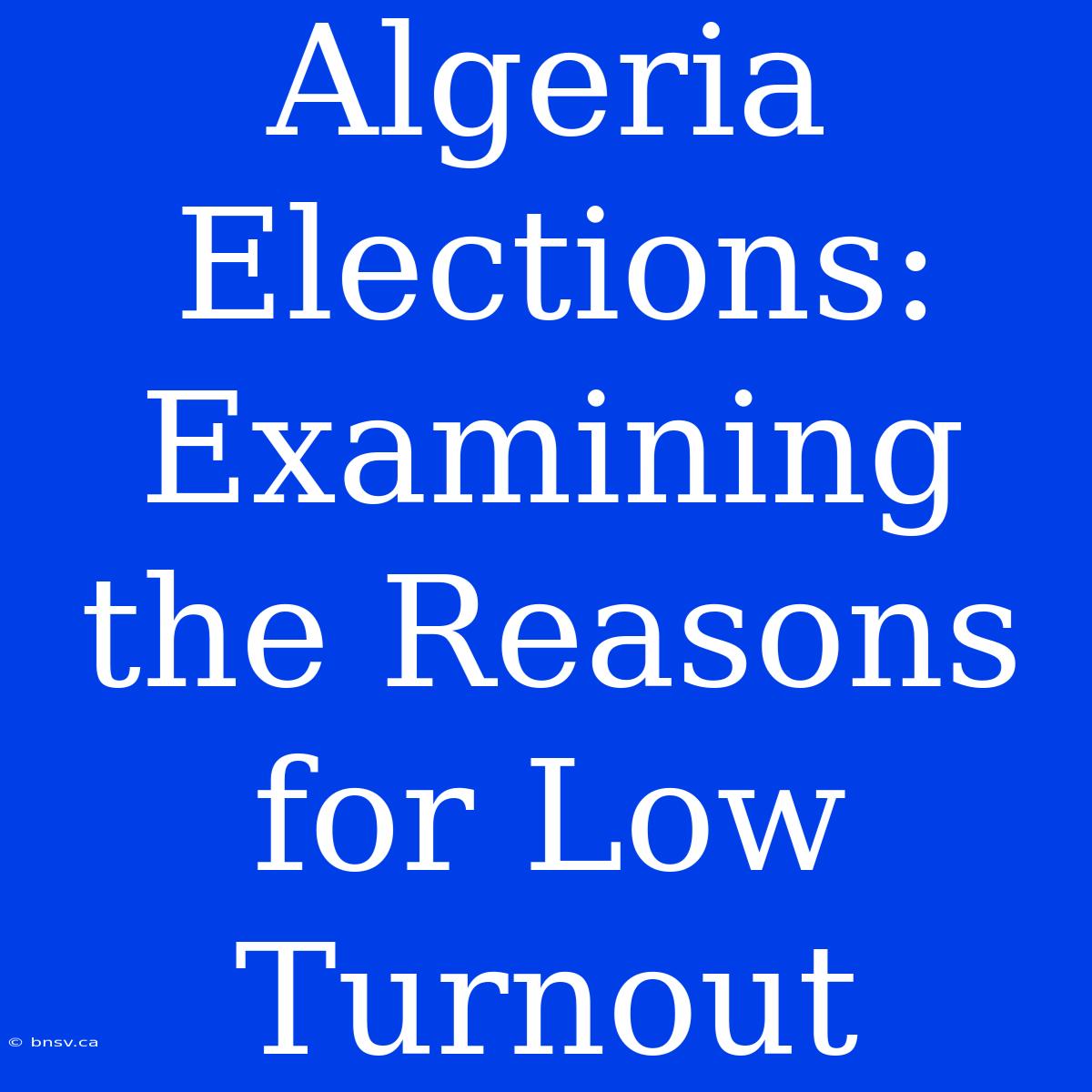 Algeria Elections: Examining The Reasons For Low Turnout