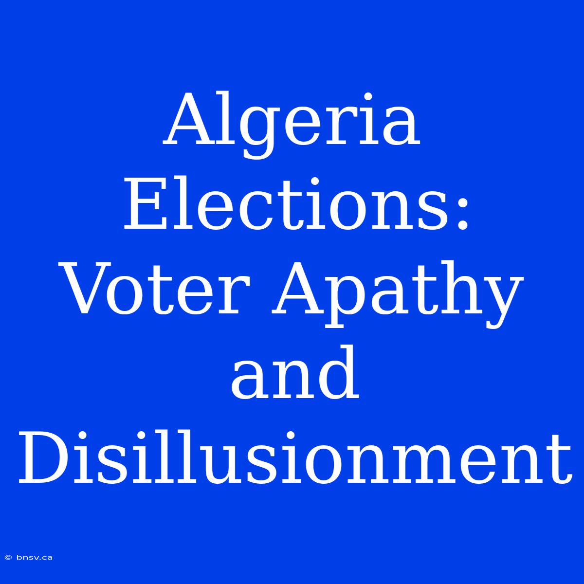 Algeria Elections: Voter Apathy And Disillusionment