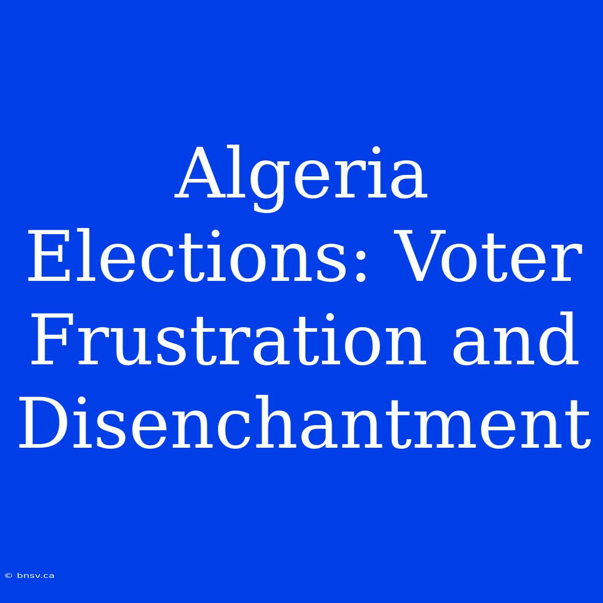 Algeria Elections: Voter Frustration And Disenchantment