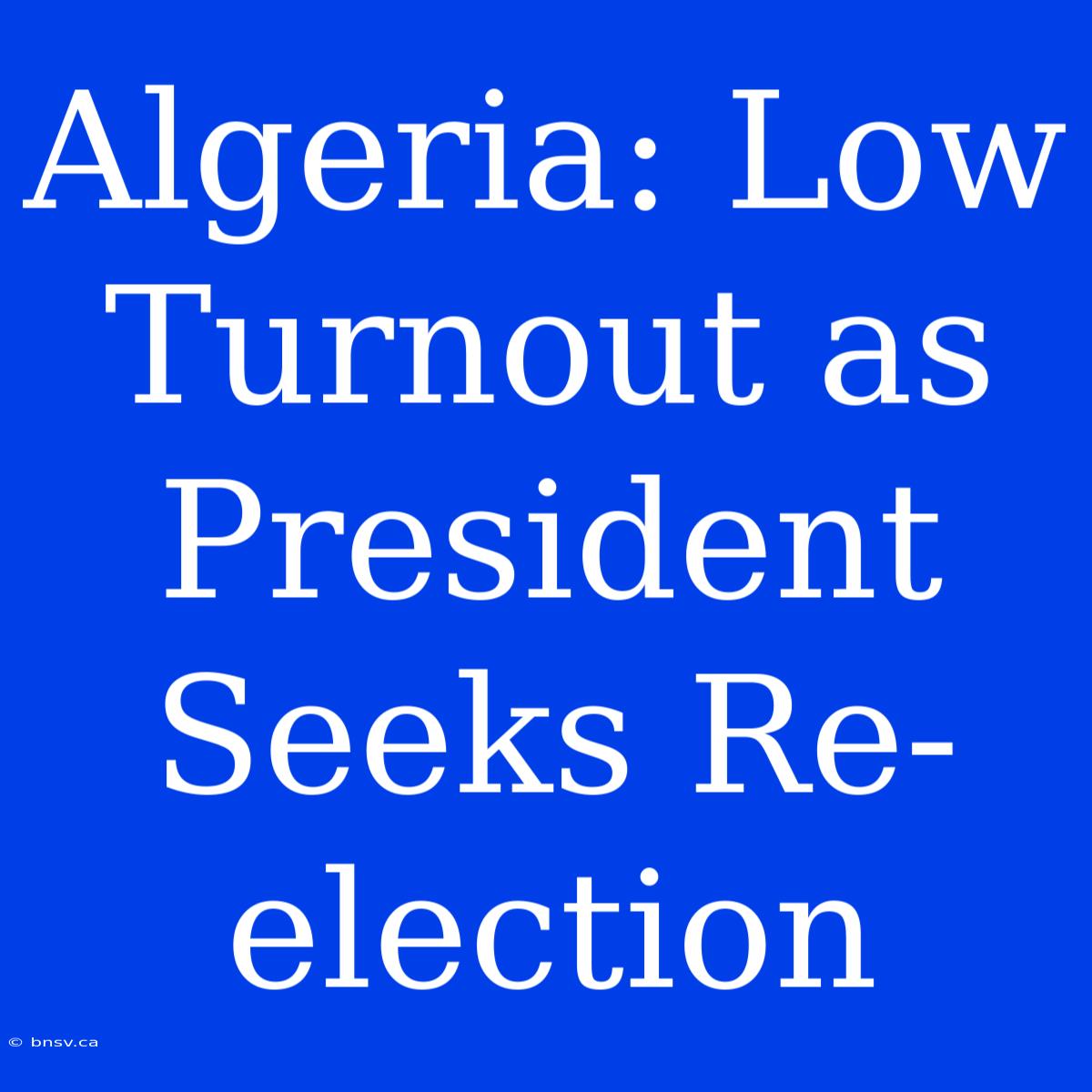 Algeria: Low Turnout As President Seeks Re-election