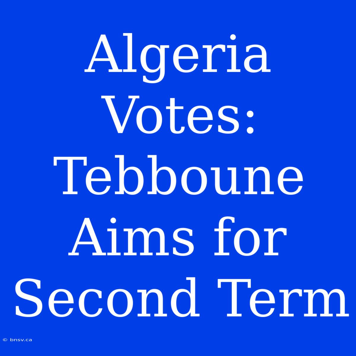 Algeria Votes: Tebboune Aims For Second Term