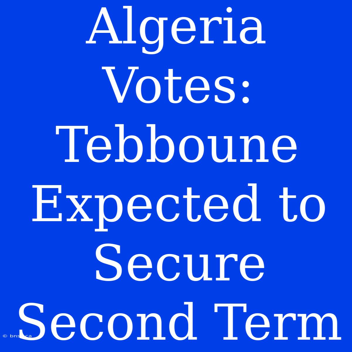 Algeria Votes: Tebboune Expected To Secure Second Term