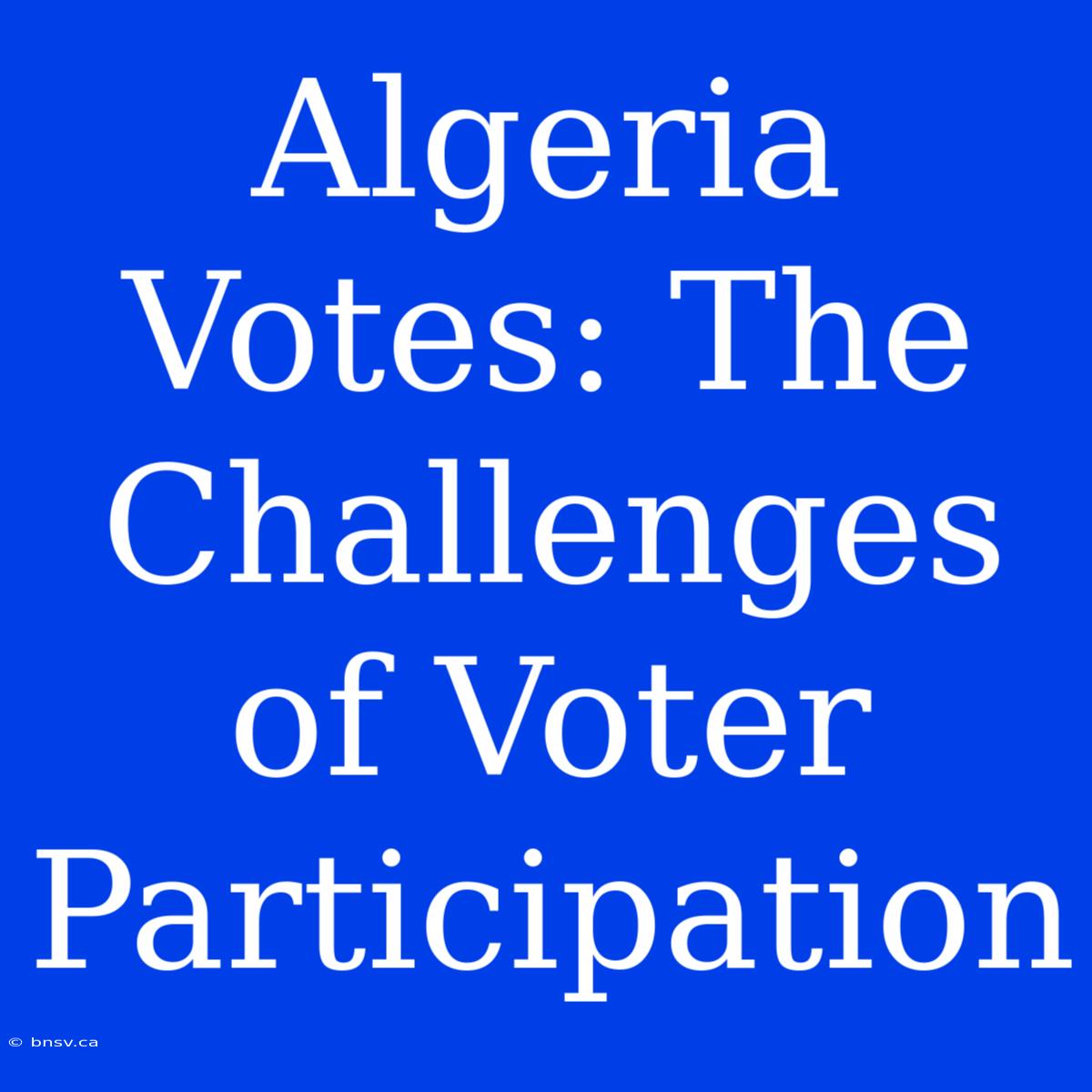 Algeria Votes: The Challenges Of Voter Participation