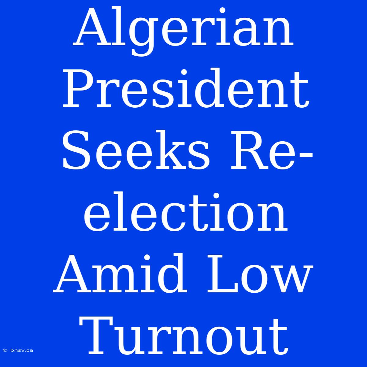 Algerian President Seeks Re-election Amid Low Turnout