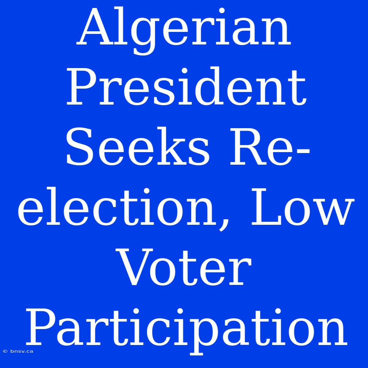 Algerian President Seeks Re-election, Low Voter Participation