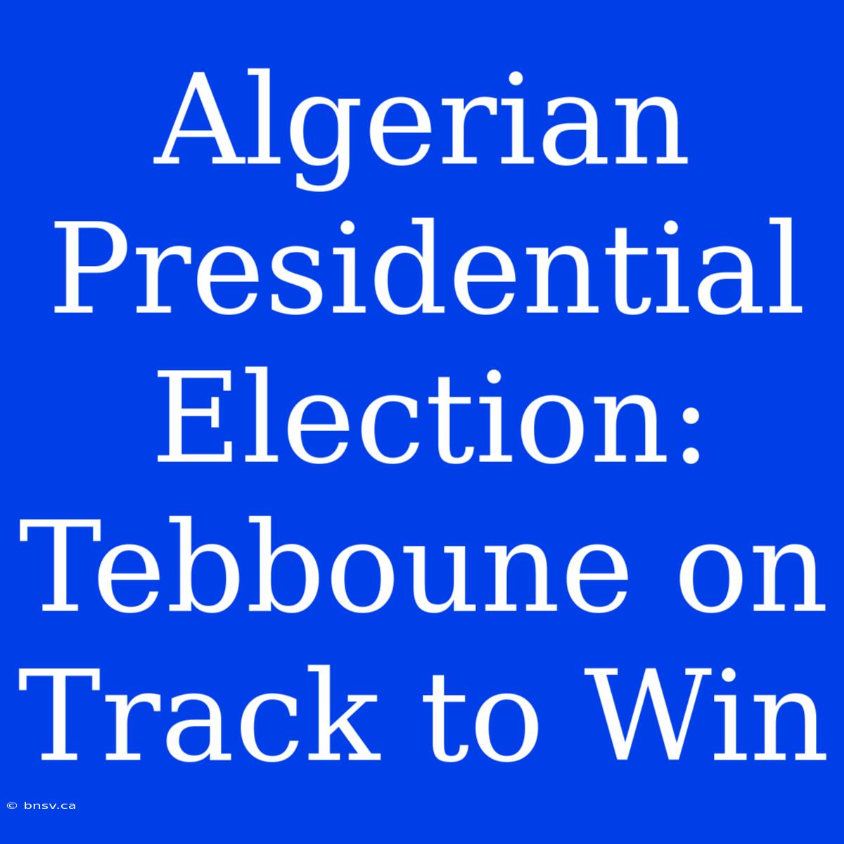 Algerian Presidential Election: Tebboune On Track To Win