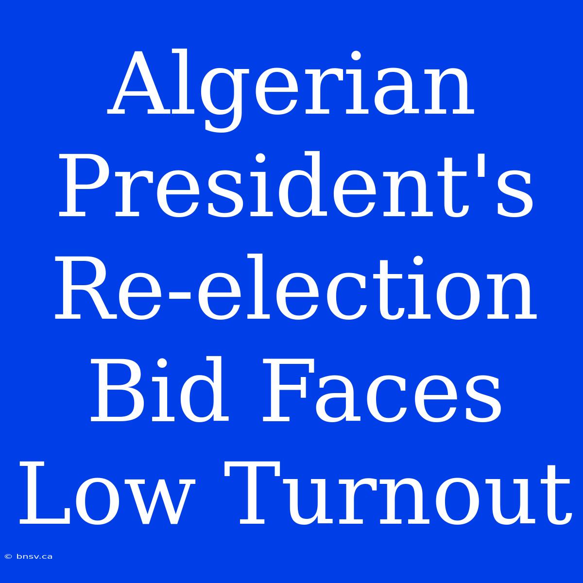 Algerian President's Re-election Bid Faces Low Turnout