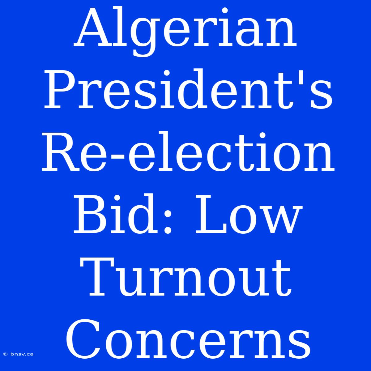 Algerian President's Re-election Bid: Low Turnout Concerns