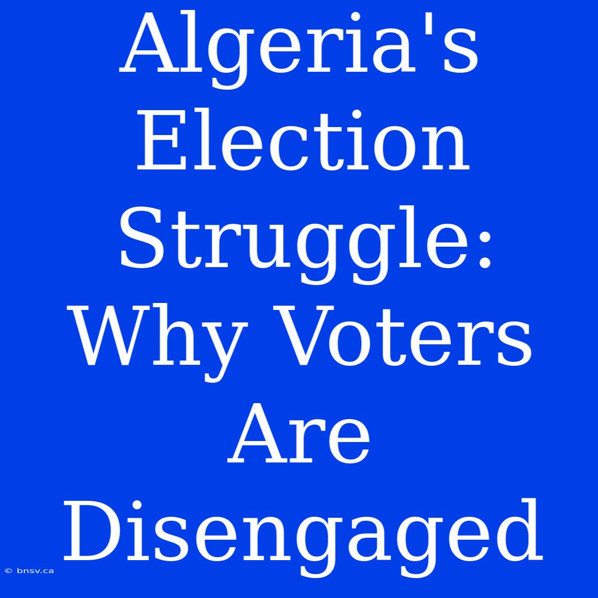 Algeria's Election Struggle: Why Voters Are Disengaged