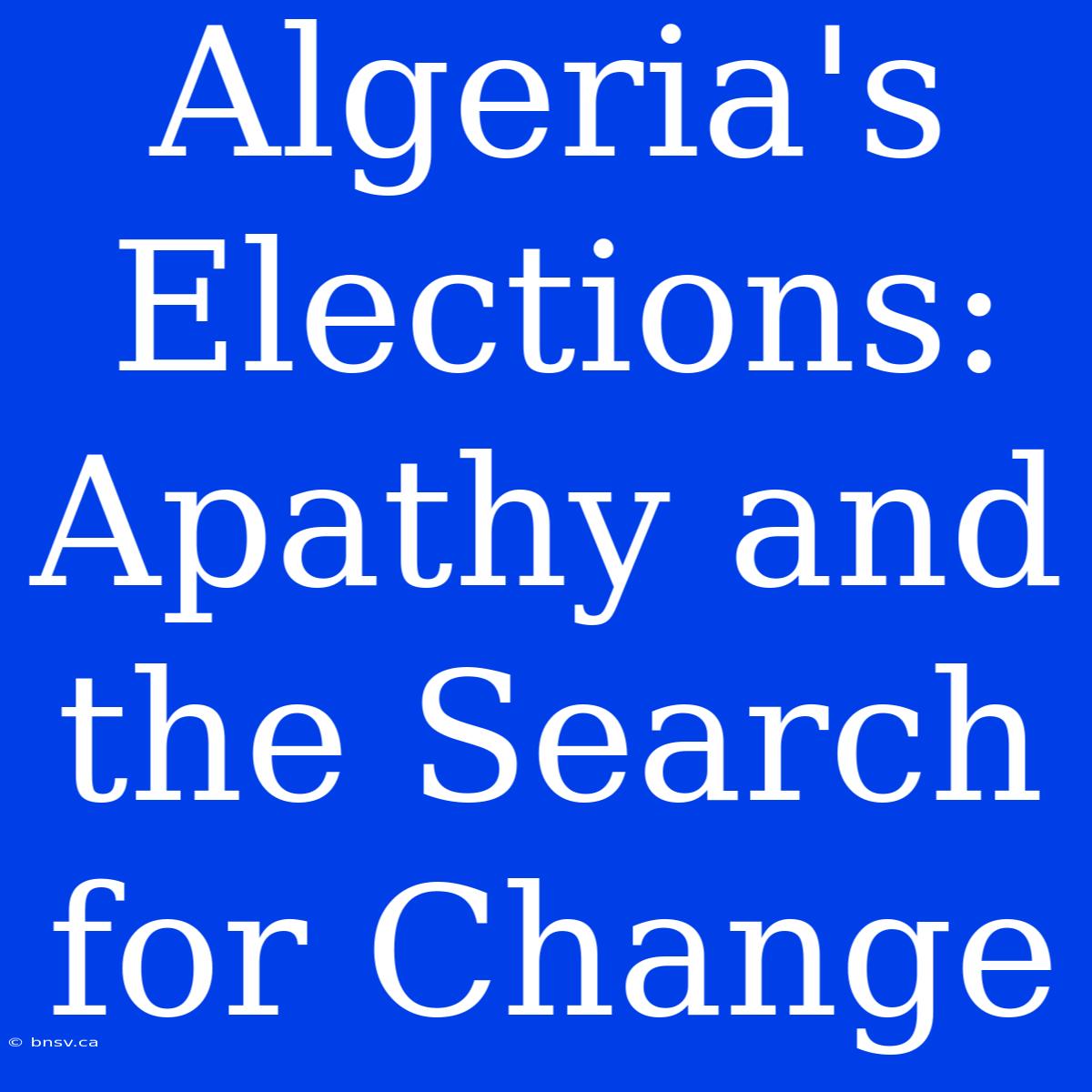 Algeria's Elections: Apathy And The Search For Change