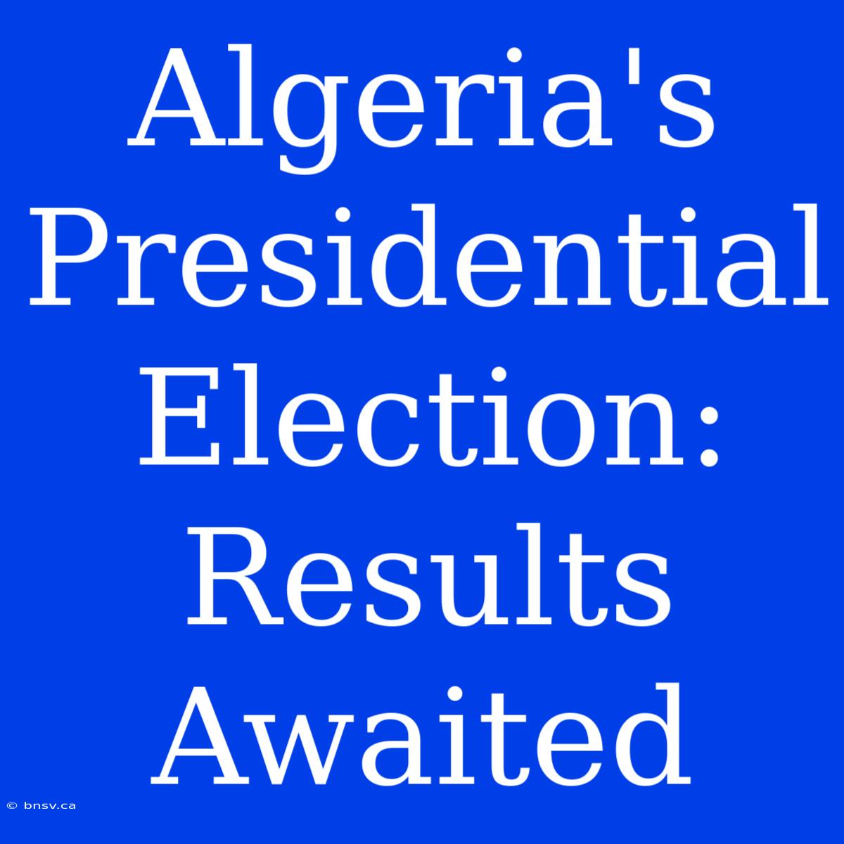 Algeria's Presidential Election: Results Awaited