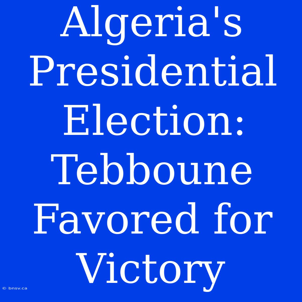 Algeria's Presidential Election: Tebboune Favored For Victory