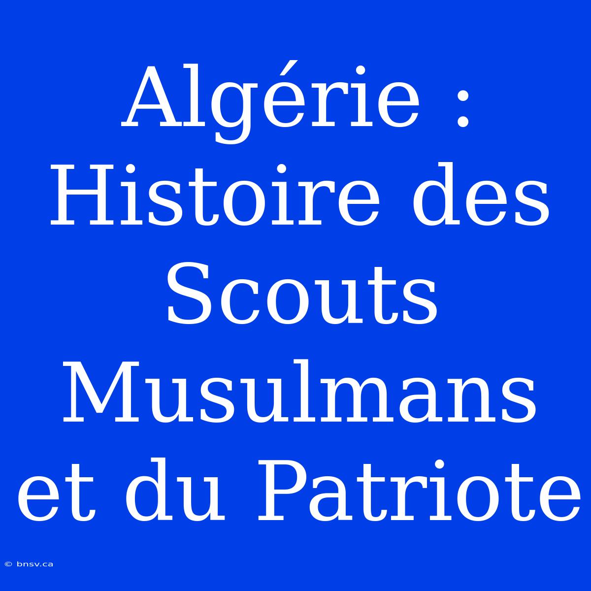 Algérie : Histoire Des Scouts Musulmans Et Du Patriote