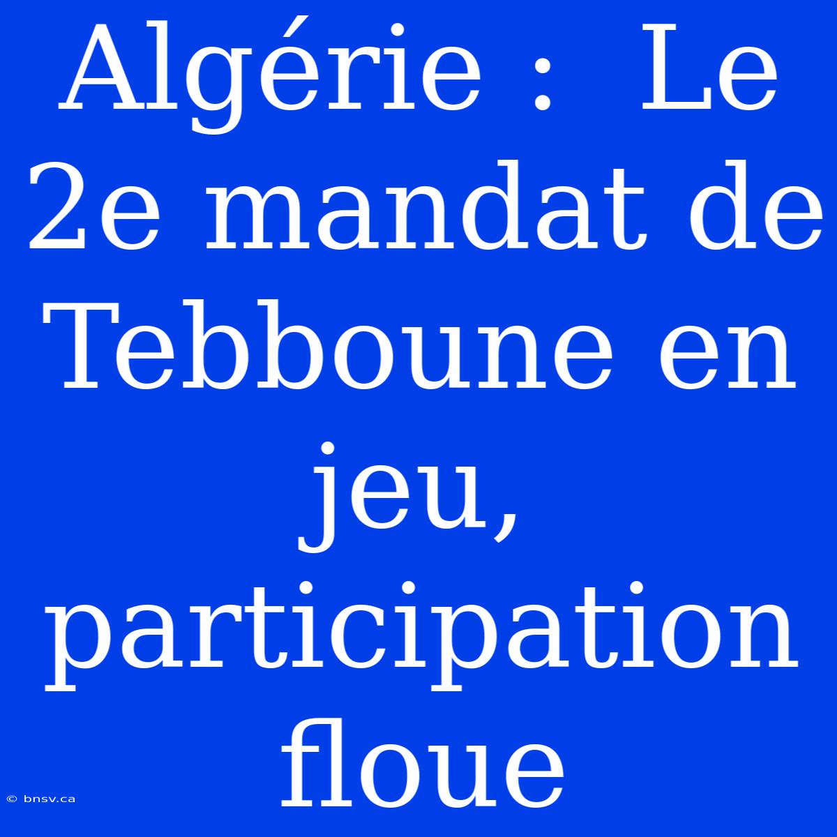 Algérie :  Le 2e Mandat De Tebboune En Jeu, Participation Floue