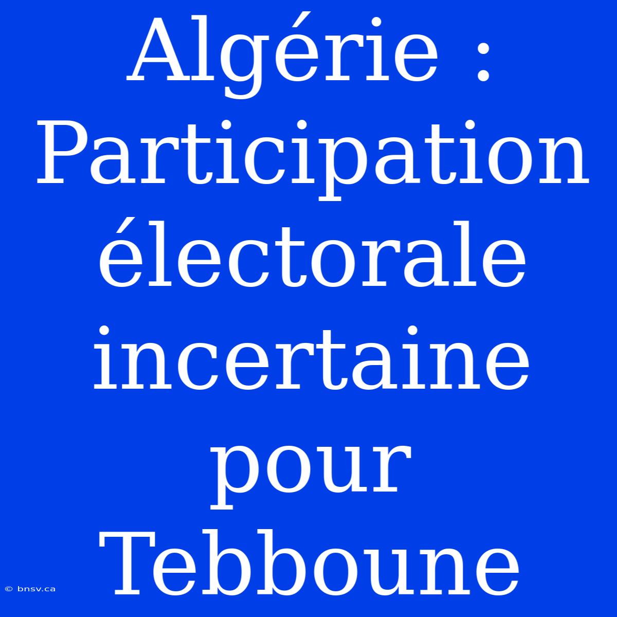 Algérie : Participation Électorale Incertaine Pour Tebboune