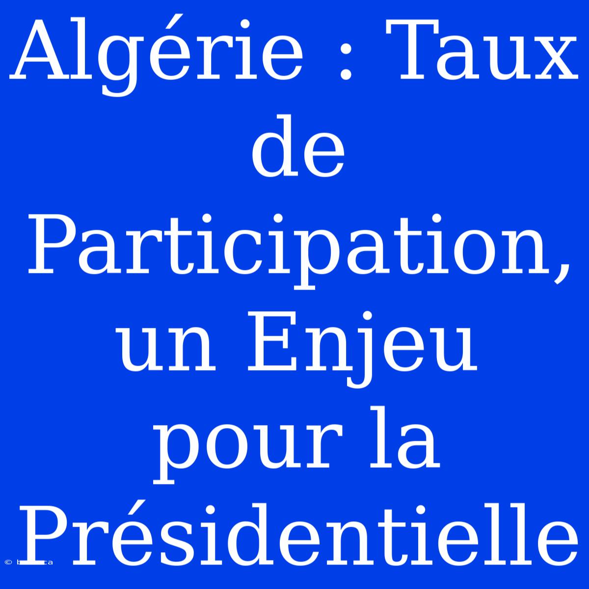 Algérie : Taux De Participation, Un Enjeu Pour La Présidentielle