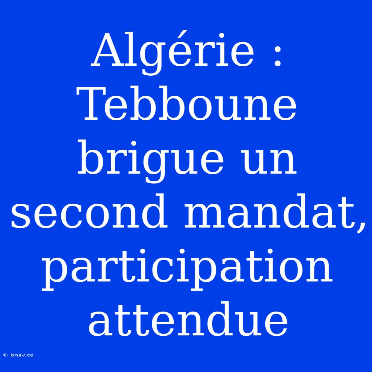 Algérie :  Tebboune Brigue Un Second Mandat, Participation Attendue