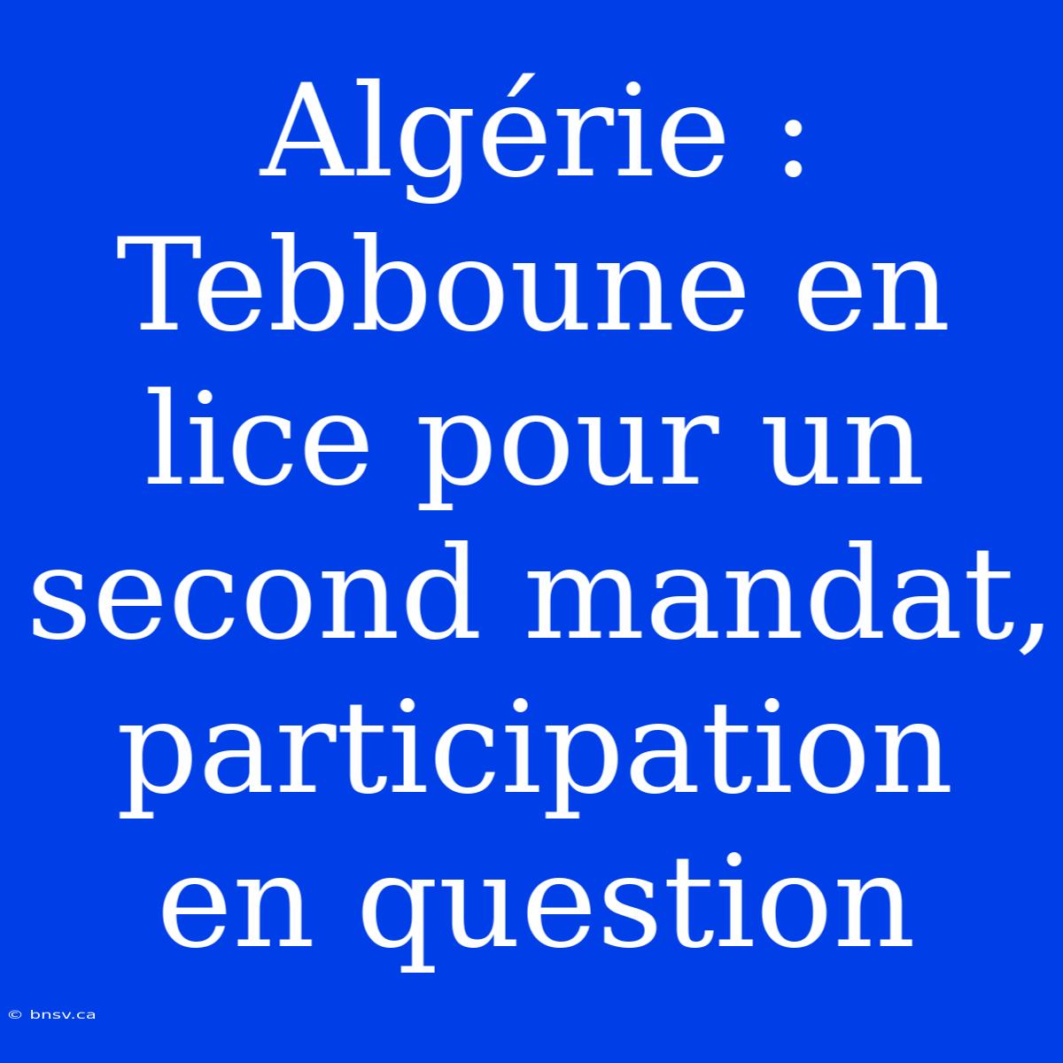 Algérie : Tebboune En Lice Pour Un Second Mandat, Participation En Question