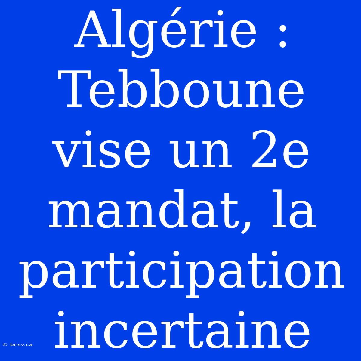 Algérie : Tebboune Vise Un 2e Mandat, La Participation Incertaine