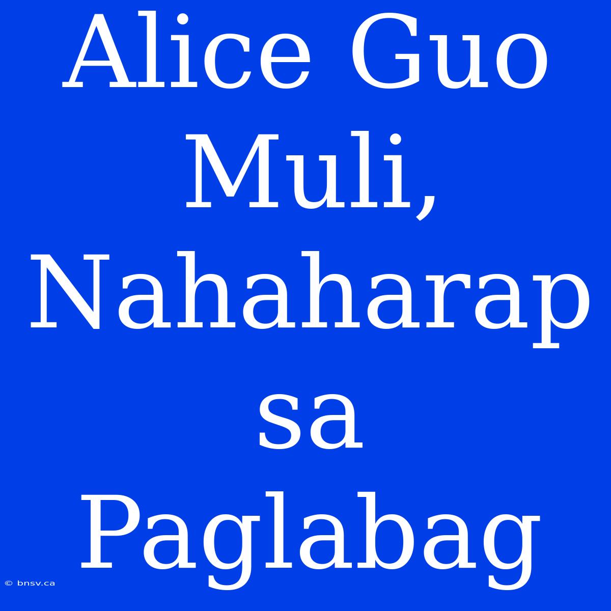 Alice Guo Muli, Nahaharap Sa Paglabag