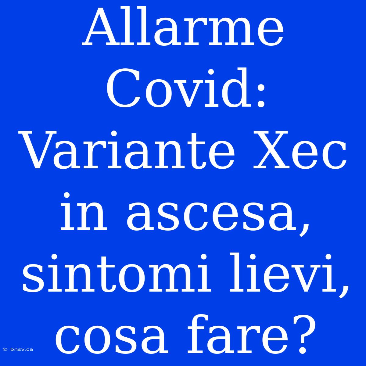 Allarme Covid:  Variante Xec In Ascesa, Sintomi Lievi, Cosa Fare?