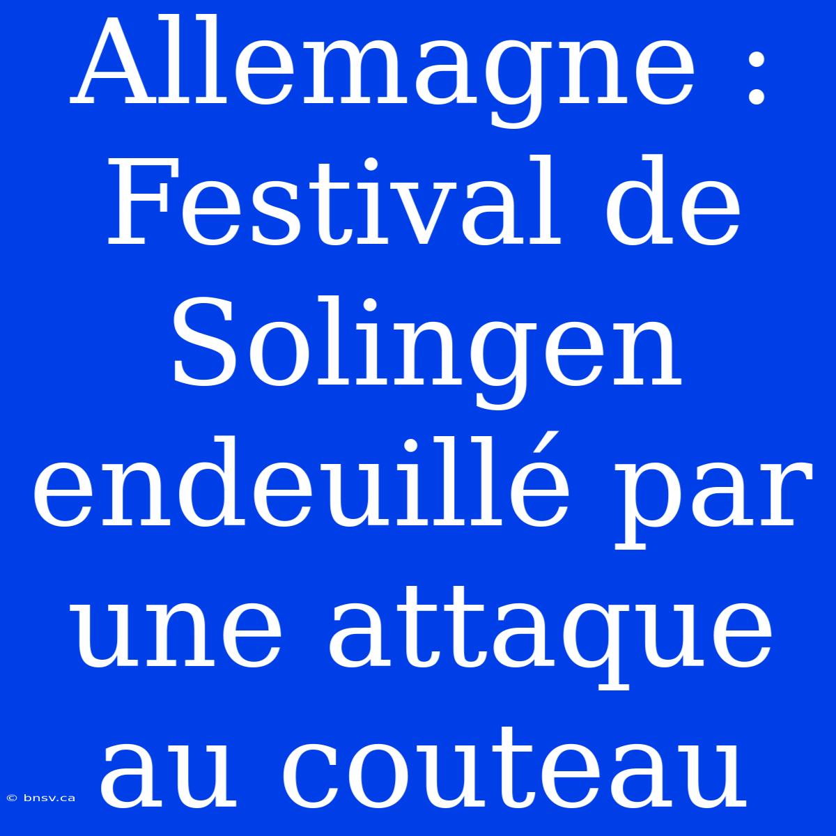 Allemagne : Festival De Solingen Endeuillé Par Une Attaque Au Couteau