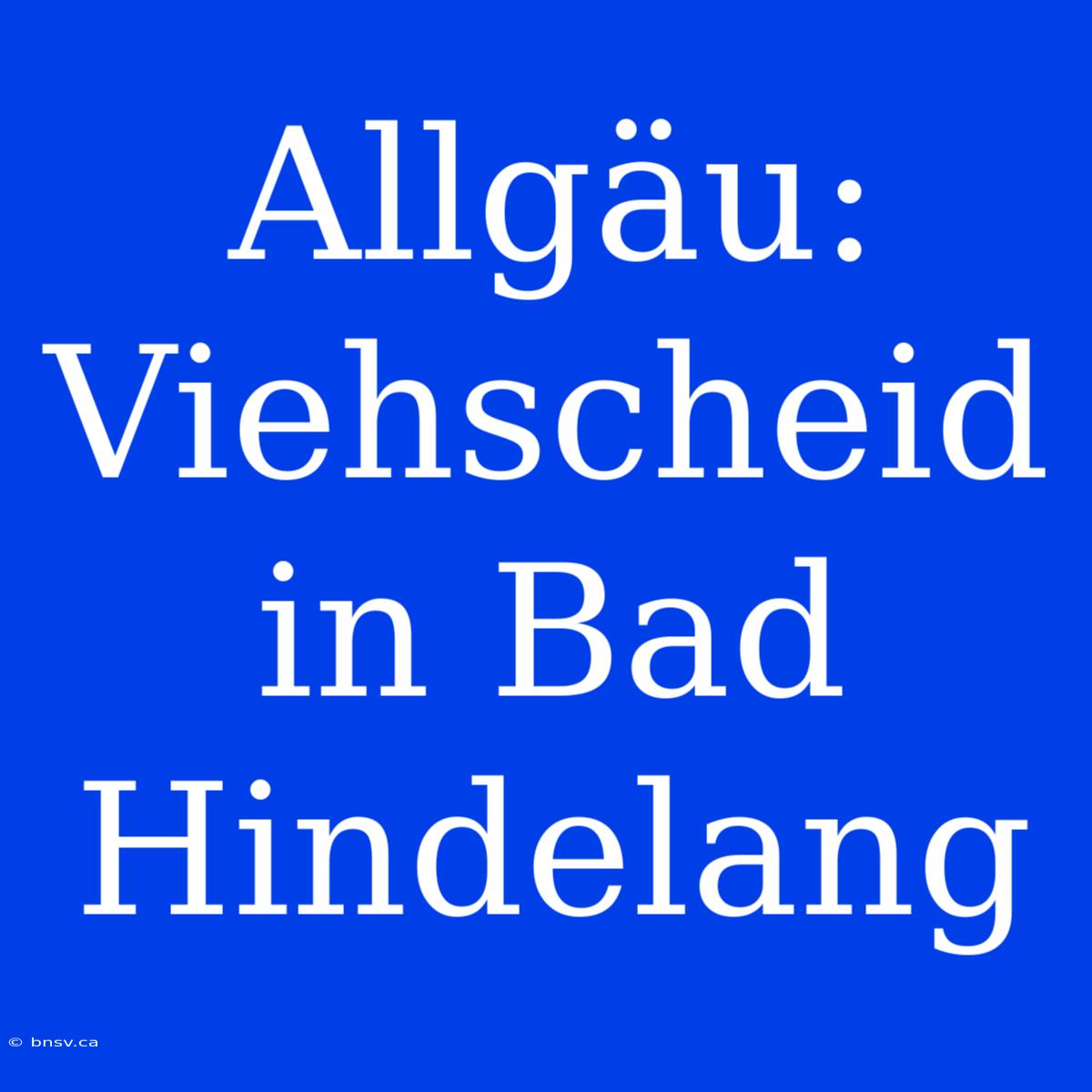 Allgäu: Viehscheid In Bad Hindelang