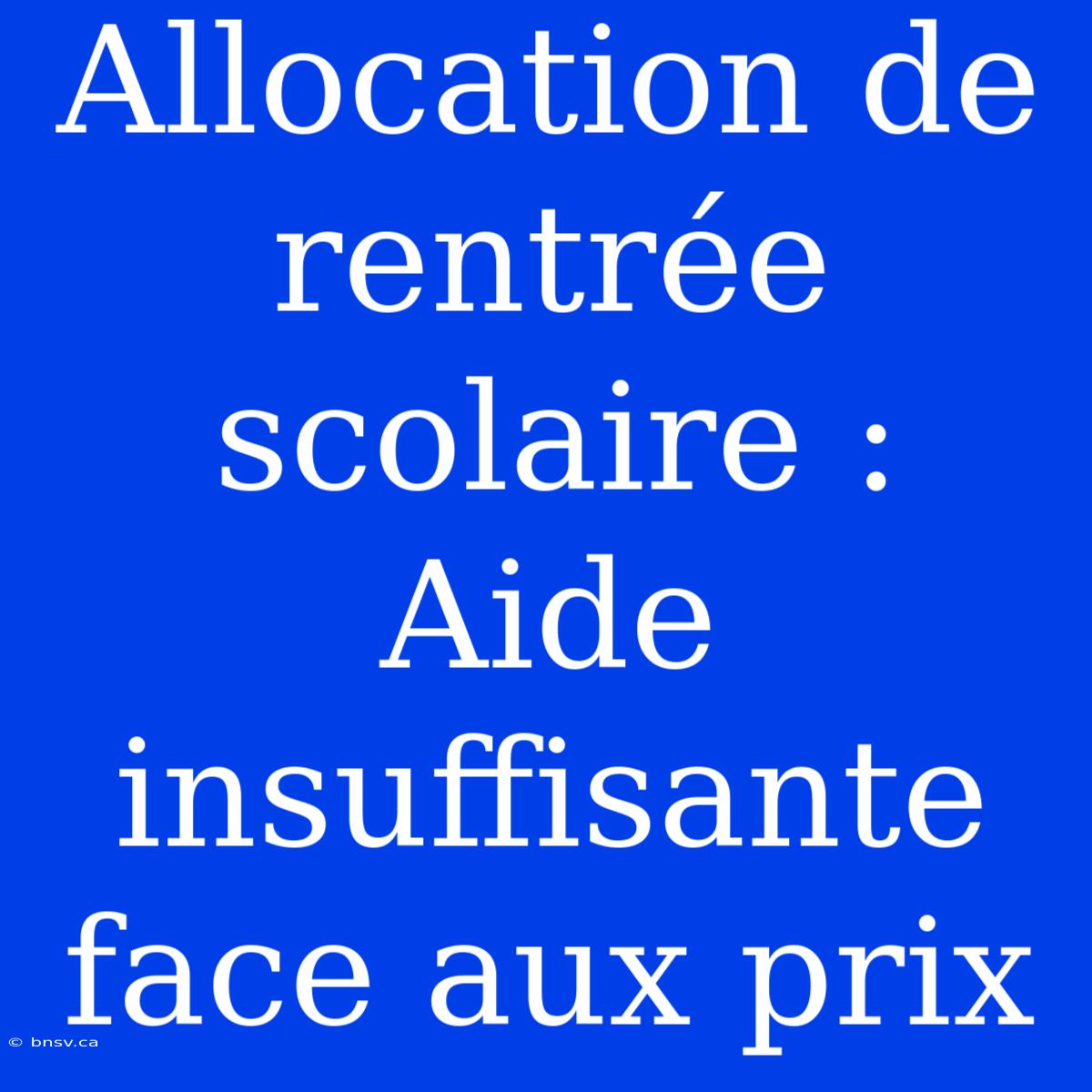 Allocation De Rentrée Scolaire : Aide Insuffisante Face Aux Prix