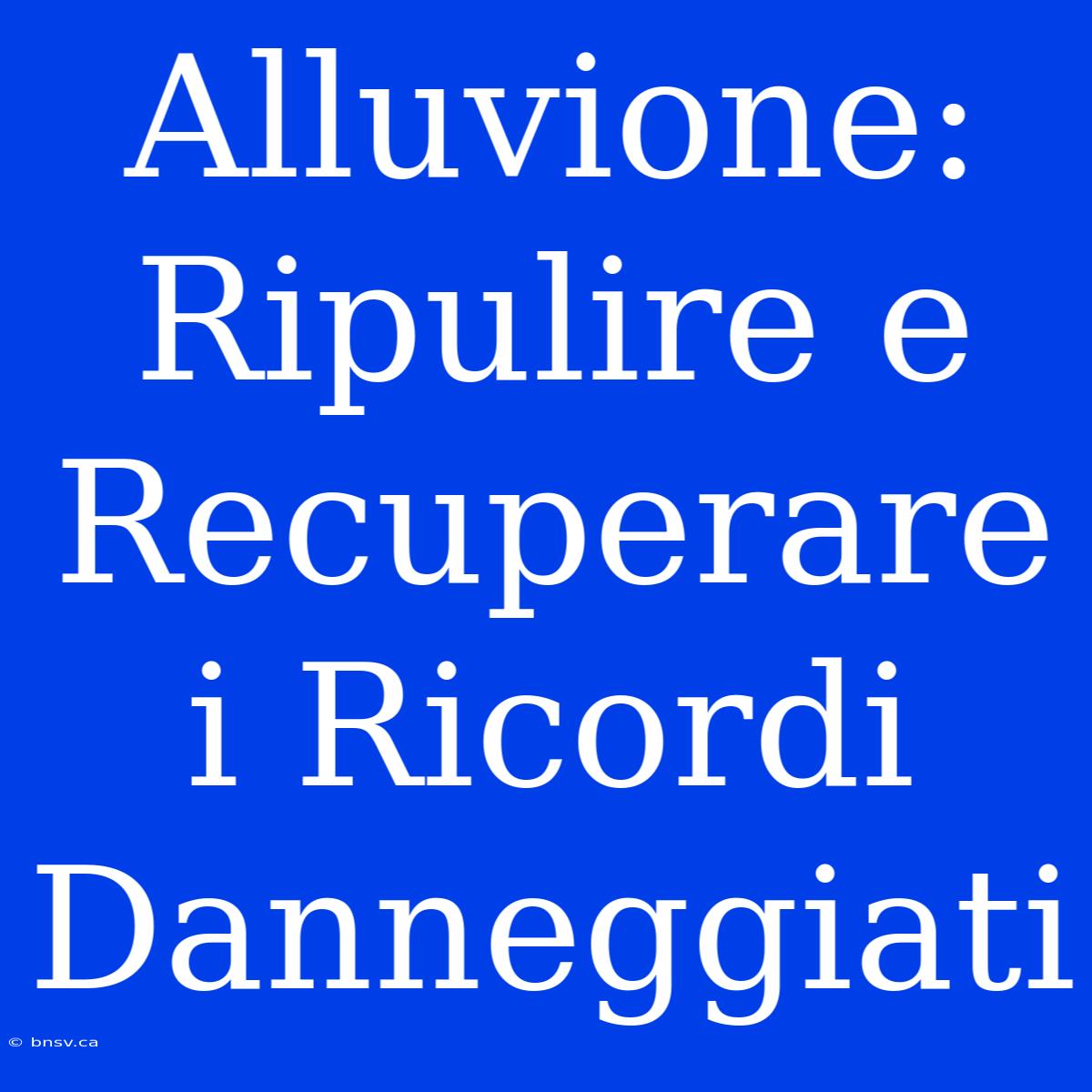 Alluvione: Ripulire E Recuperare I Ricordi Danneggiati