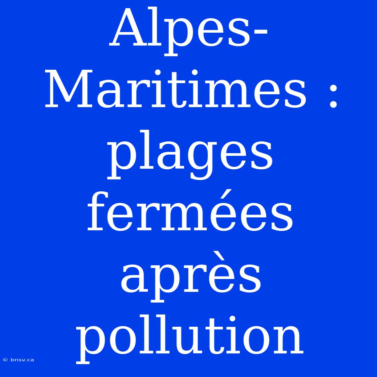 Alpes-Maritimes : Plages Fermées Après Pollution