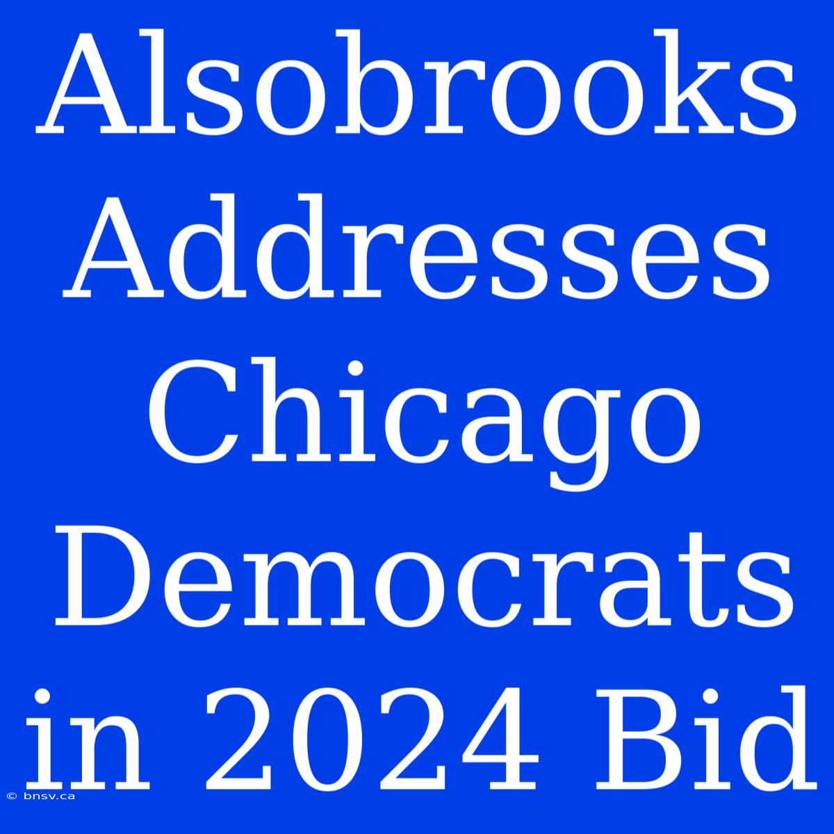 Alsobrooks Addresses Chicago Democrats In 2024 Bid