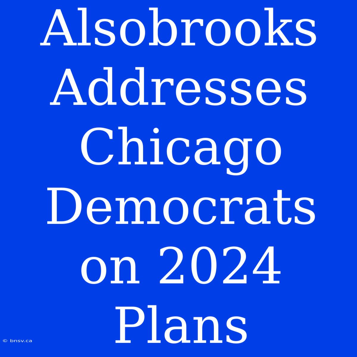 Alsobrooks Addresses Chicago Democrats On 2024 Plans