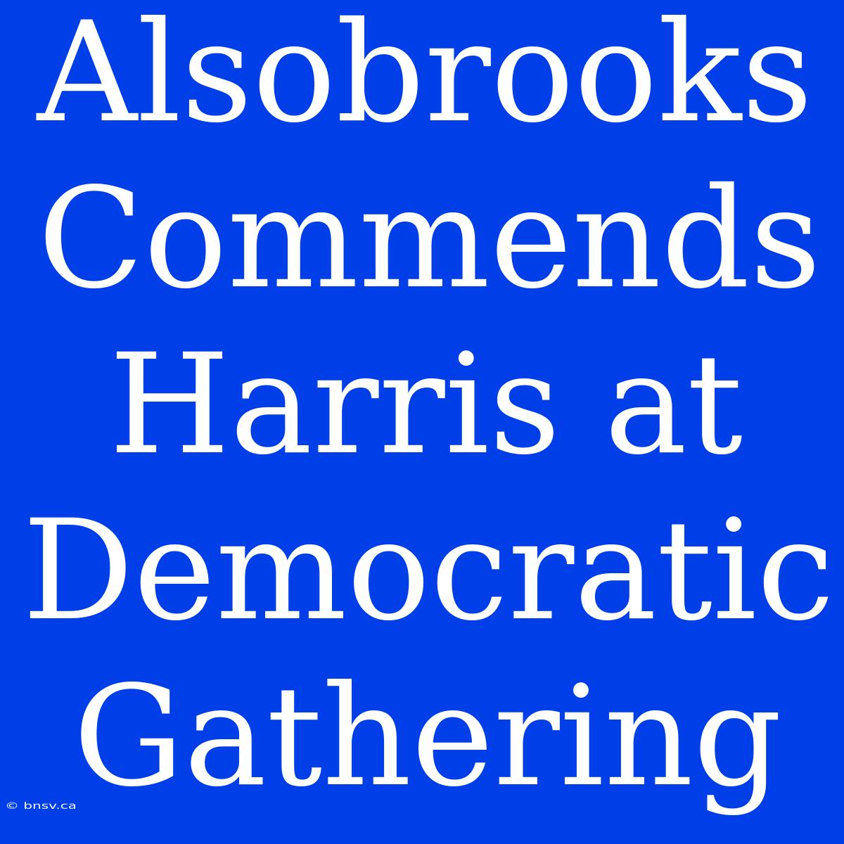 Alsobrooks Commends Harris At Democratic Gathering