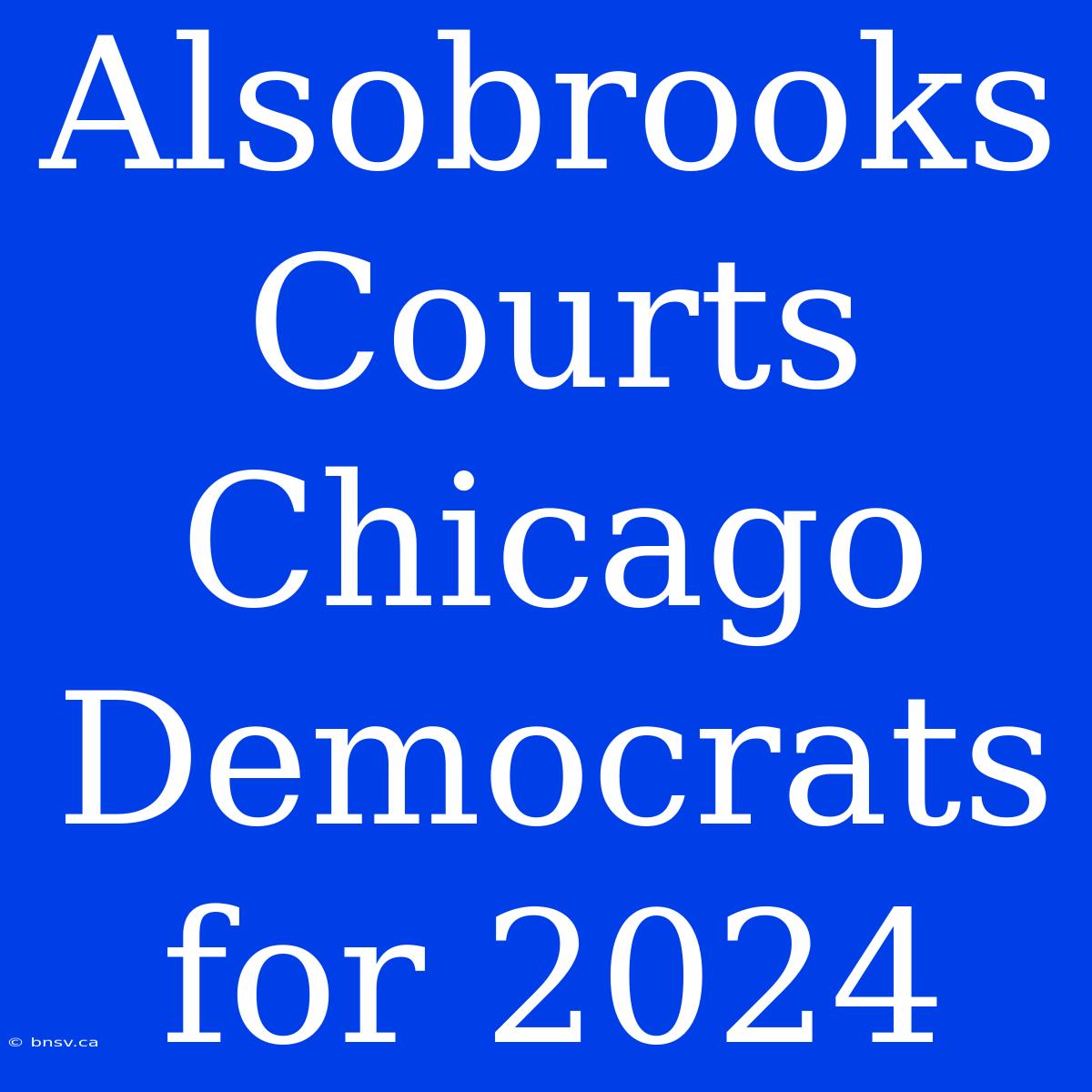 Alsobrooks Courts Chicago Democrats For 2024