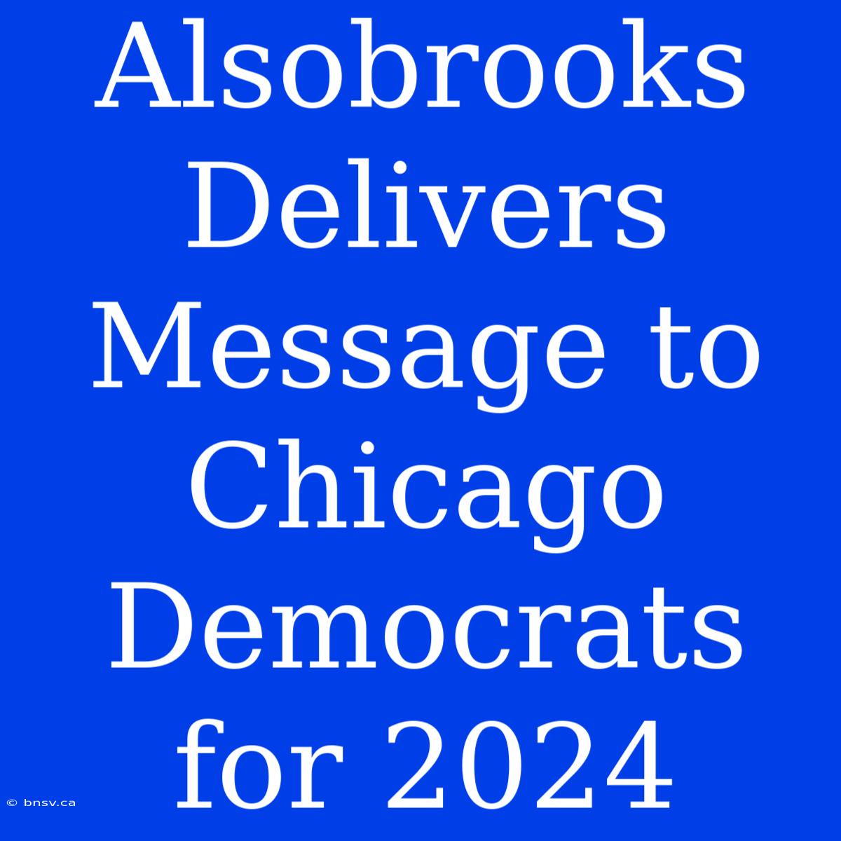 Alsobrooks Delivers Message To Chicago Democrats For 2024