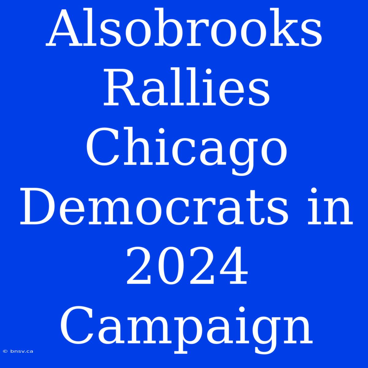 Alsobrooks Rallies Chicago Democrats In 2024 Campaign