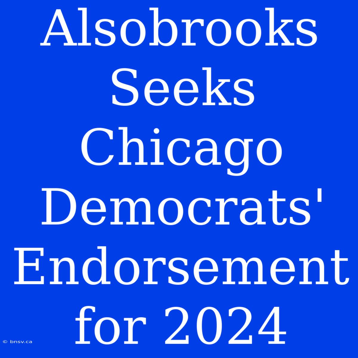 Alsobrooks Seeks Chicago Democrats' Endorsement For 2024