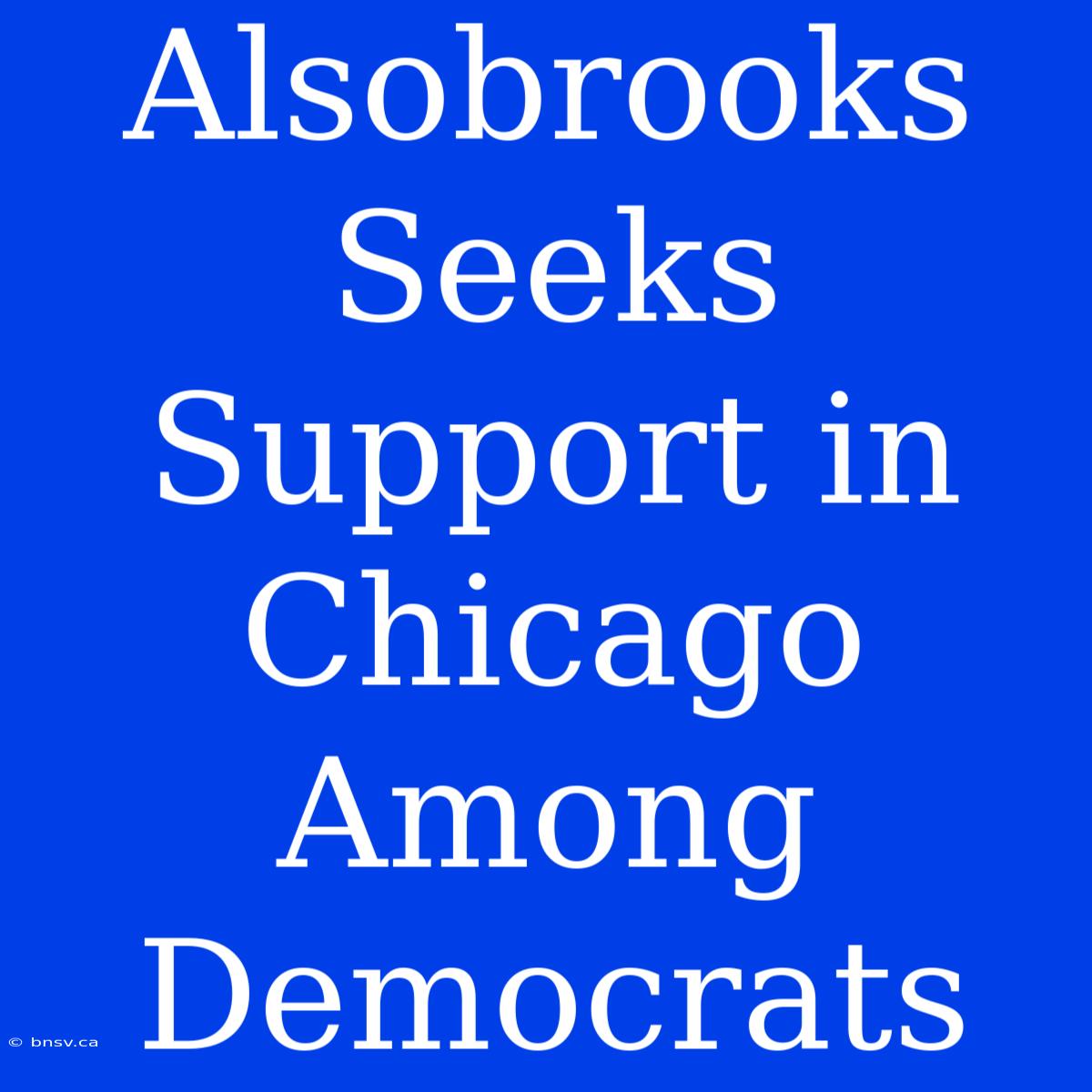 Alsobrooks Seeks Support In Chicago Among Democrats