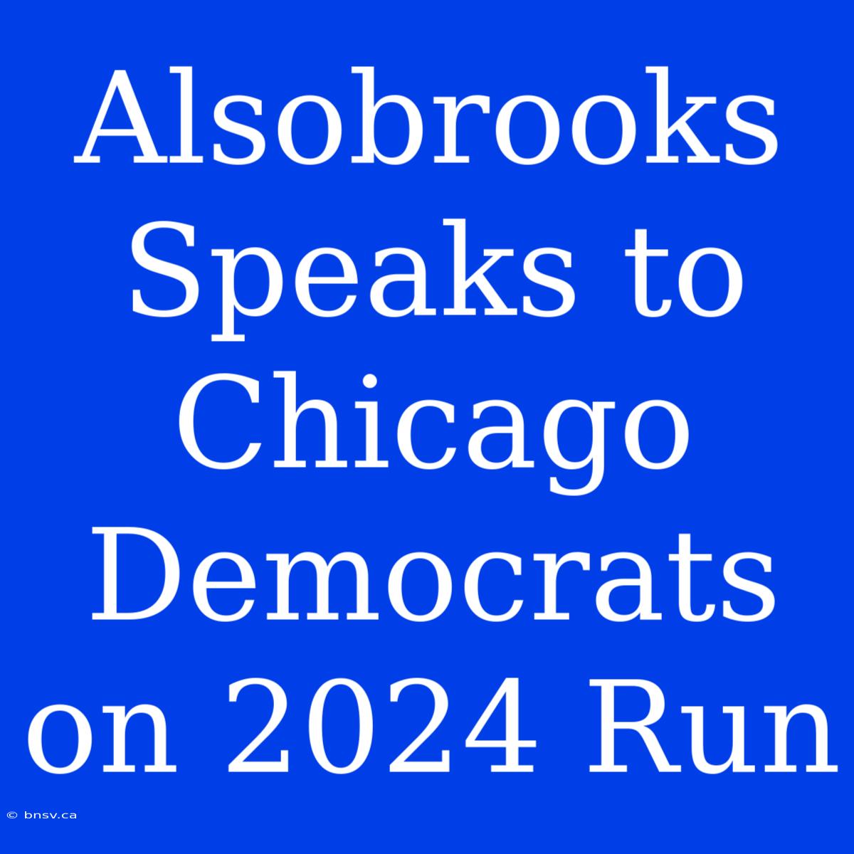 Alsobrooks Speaks To Chicago Democrats On 2024 Run