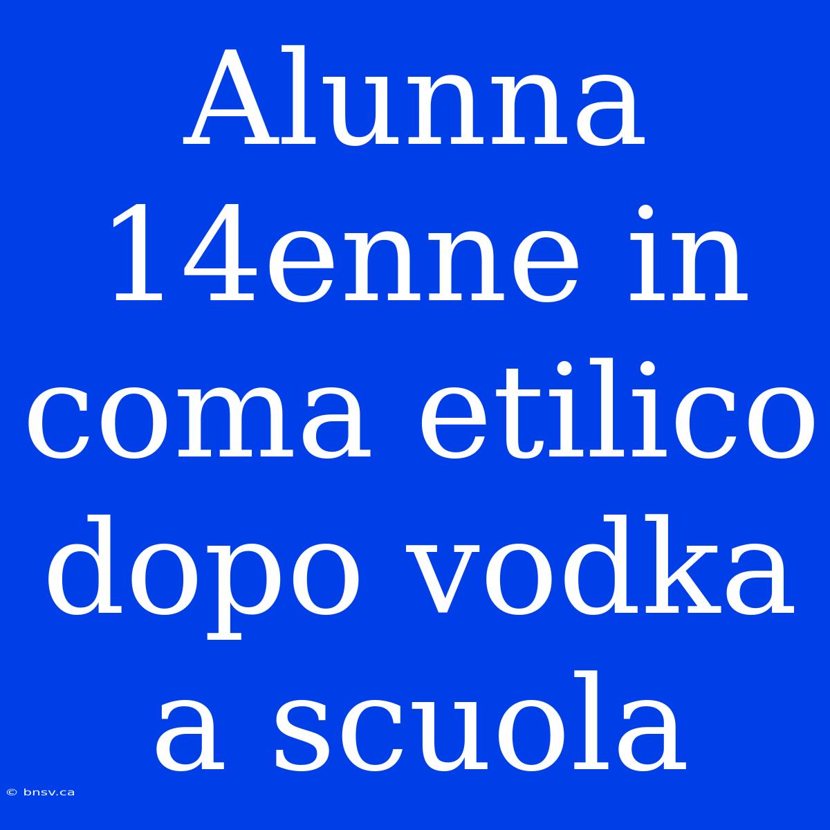 Alunna 14enne In Coma Etilico Dopo Vodka A Scuola