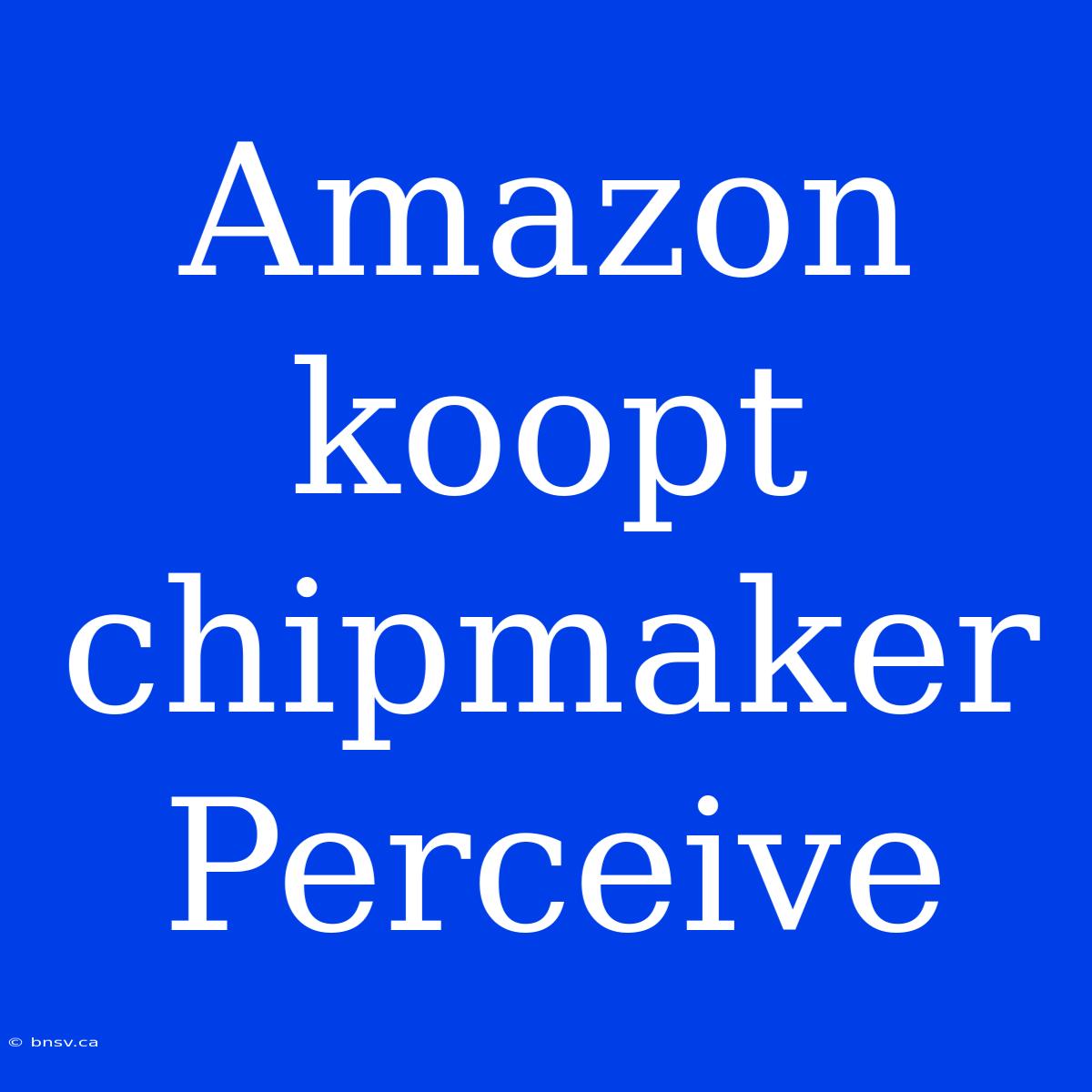 Amazon Koopt Chipmaker Perceive